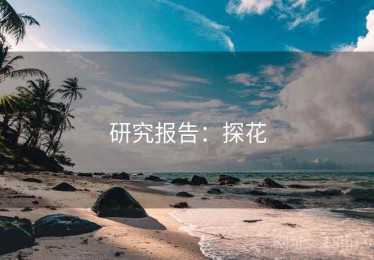 研究报告：探花