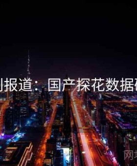 特别报道：国产探花数据研究