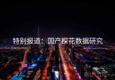 特别报道：国产探花数据研究