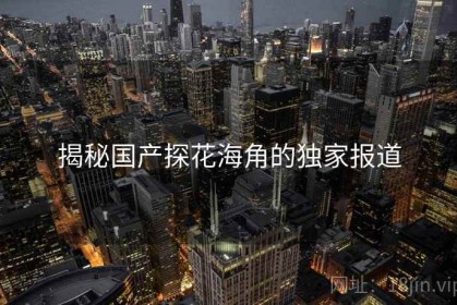 揭秘国产探花海角的独家报道