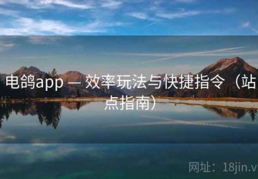 电鸽app — 效率玩法与快捷指令（站点指南）