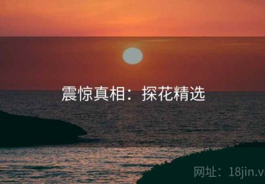 震惊真相：探花精选