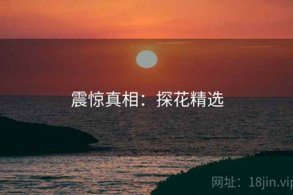 震惊真相：探花精选