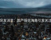 突发消息：国产探花海角引发关注
