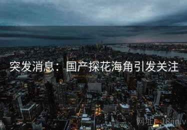 突发消息：国产探花海角引发关注