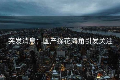 突发消息：国产探花海角引发关注