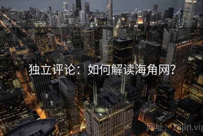 独立评论：如何解读海角网？