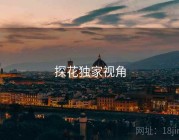 探花独家视角