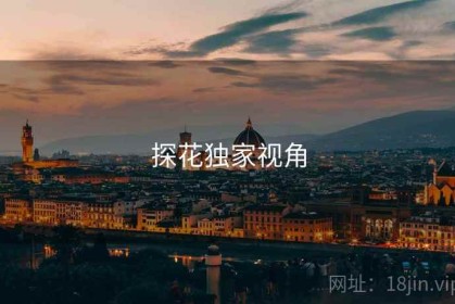 探花独家视角
