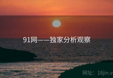 91网——独家分析观察