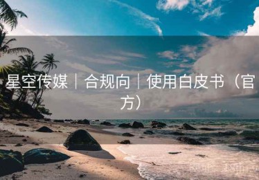 星空传媒｜合规向｜使用白皮书（官方）