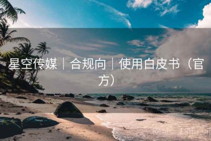 星空传媒｜合规向｜使用白皮书（官方）