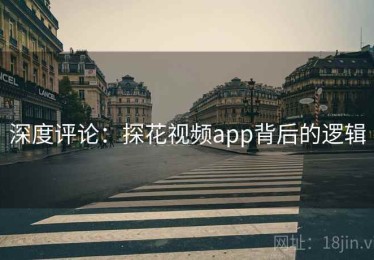 深度评论：探花视频app背后的逻辑