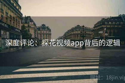 深度评论：探花视频app背后的逻辑