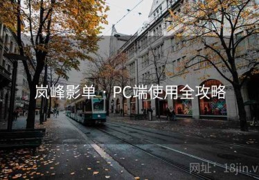 岚峰影单 · PC端使用全攻略