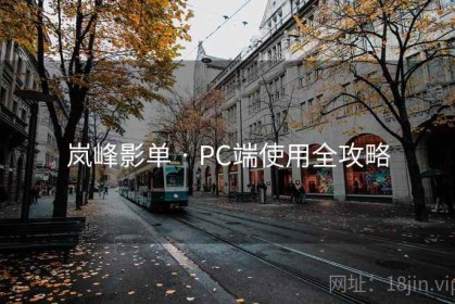 岚峰影单 · PC端使用全攻略
