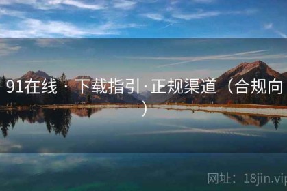 91在线 · 下载指引·正规渠道（合规向）