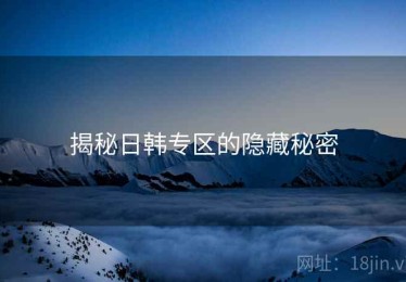 揭秘日韩专区的隐藏秘密