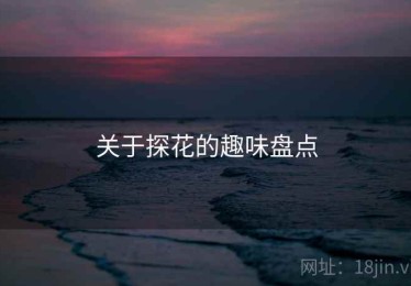关于探花的趣味盘点