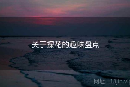 关于探花的趣味盘点