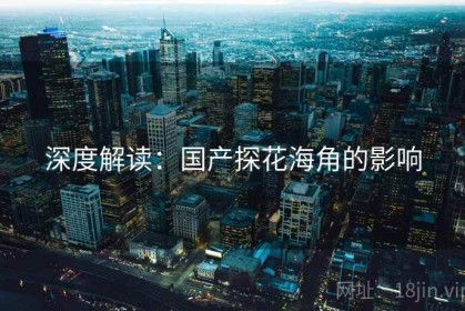 深度解读：国产探花海角的影响