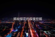 揭秘探花的深度挖掘