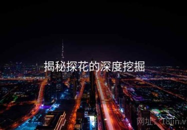 揭秘探花的深度挖掘