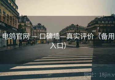 电鸽官网 — 口碑墙—真实评价（备用入口）