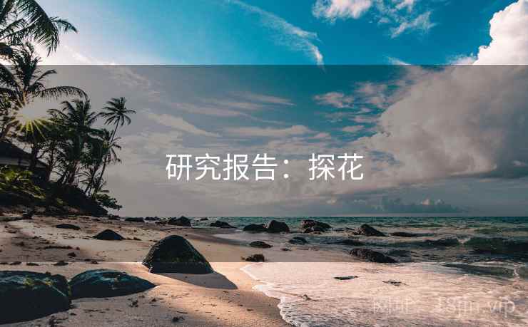 研究报告：探花
