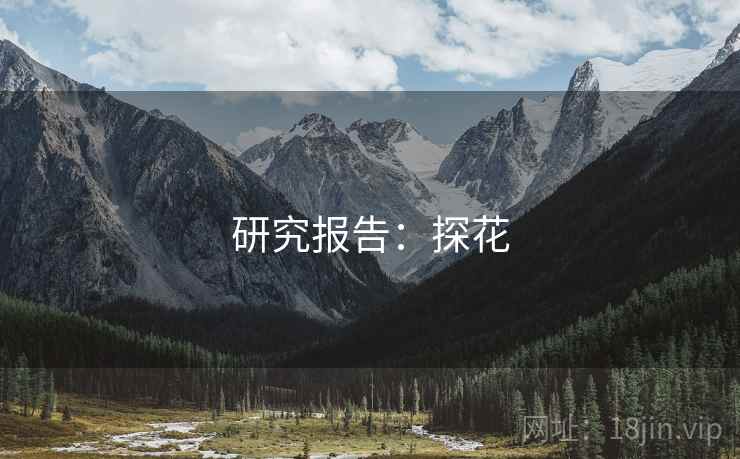 研究报告：探花