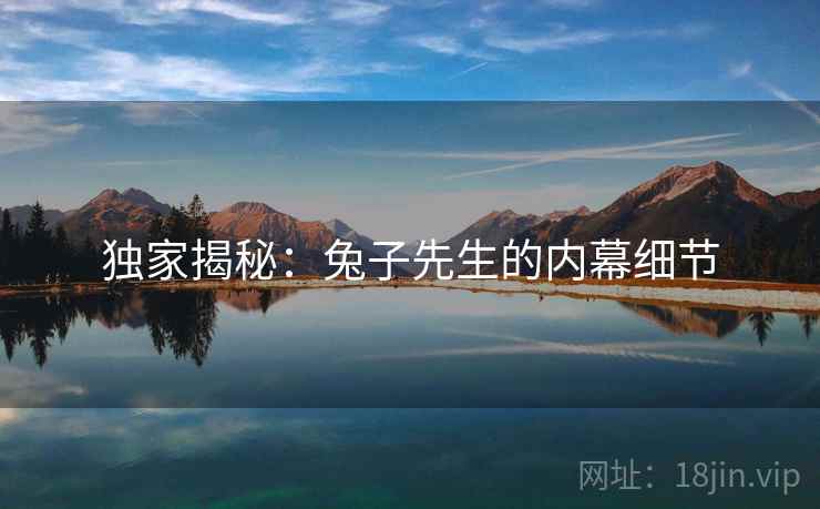 独家揭秘：兔子先生的内幕细节
