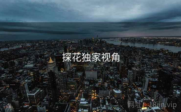探花独家视角