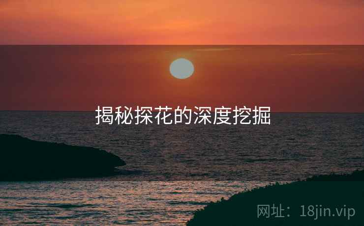 揭秘探花的深度挖掘