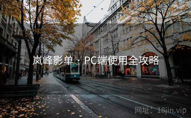 岚峰影单 · PC端使用全攻略