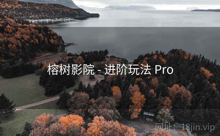 榕树影院 - 进阶玩法 Pro