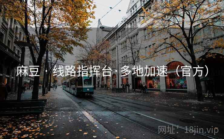 麻豆 · 线路指挥台·多地加速（官方）